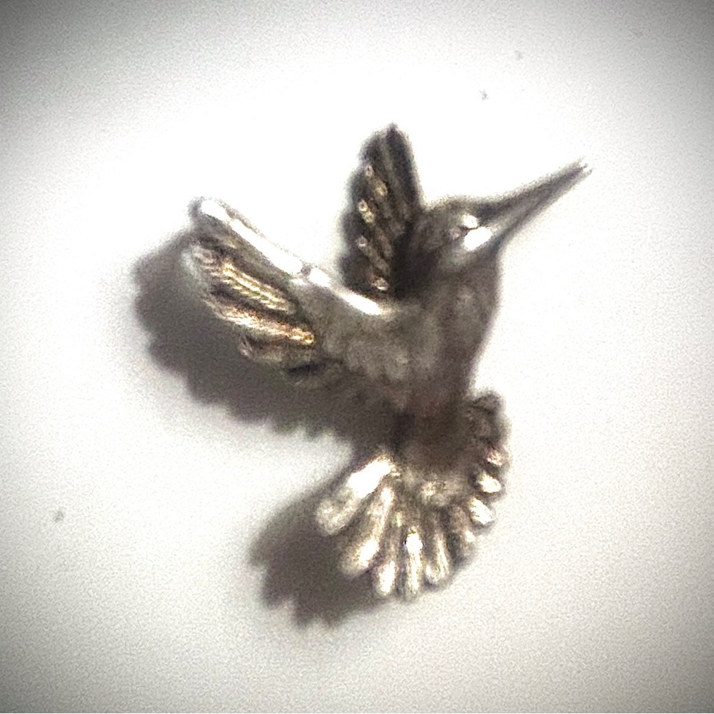 Silver Hummingbird Bird Charm 925
